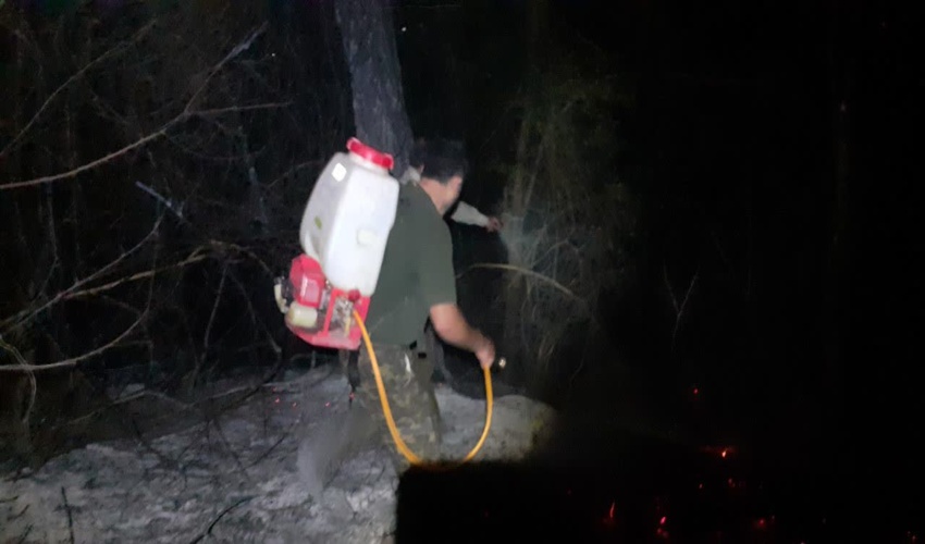 آتش‌سوزی در ۲ هزار متر مربع از عرصه‌های جنگلی دشت نظیر نوشهر مهار شد