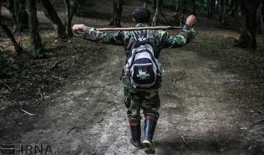 شِکوه‌های جنگل؛ جان نگهبانان طبیعت در خطر است