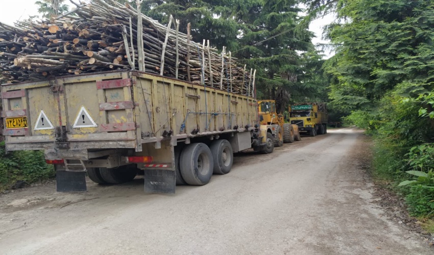  کامیون‌های حامل چوب فاقد مجوز توقیف می‌شوند