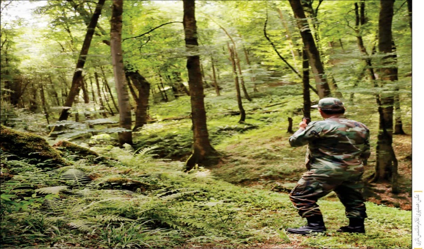 شناسایی قاچاقچیان چوب درختان جنگلی در نارنج بن