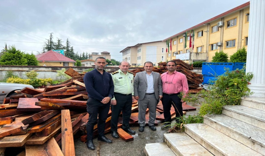  اعضای باند قاچاق چوب درختان جنگلی در شهرستان عباس آباد متلاشی شد