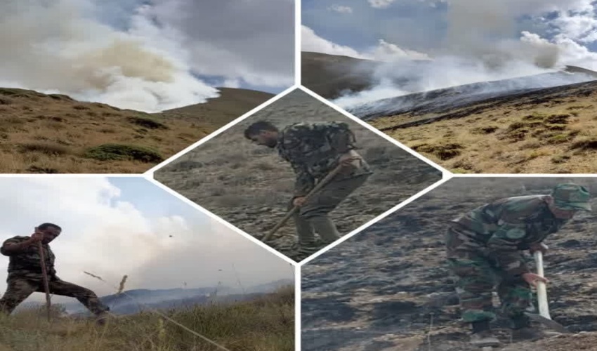 قابل توجه دامداران محترم