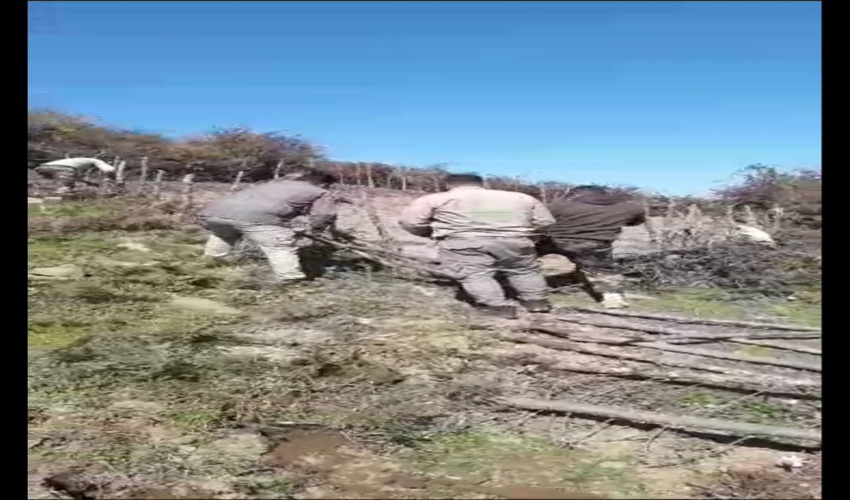 رئیس اداره منابع طبیعی و ابخیزداری شهرستان تنکابن: صیانت از اراضی ملی در شهرستان تنکابن تشدید می‌شود