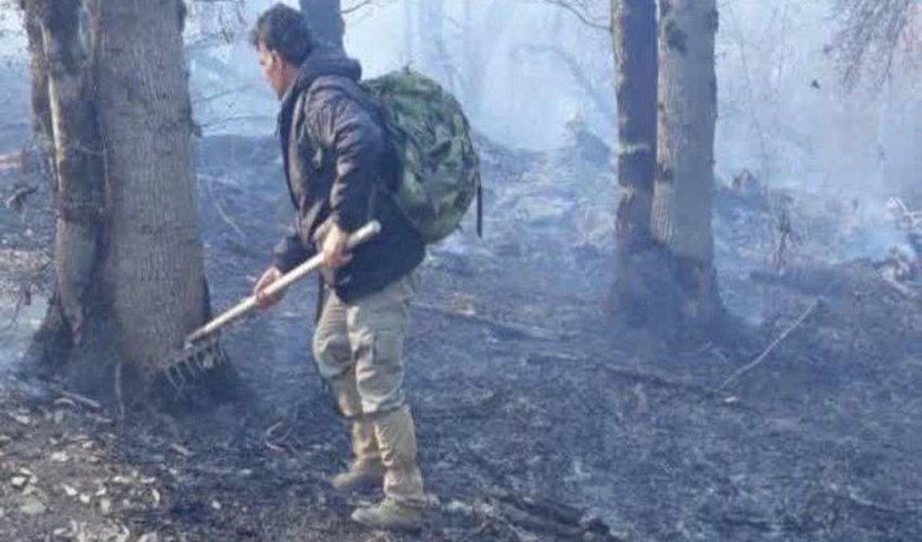 اطفاء حریق در جنگل‌های چالوس