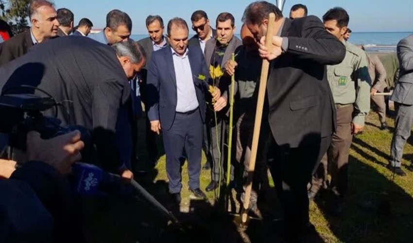 به نقل از «فارس» آغاز کاشت یک میلیارد درخت در غرب مازندران
