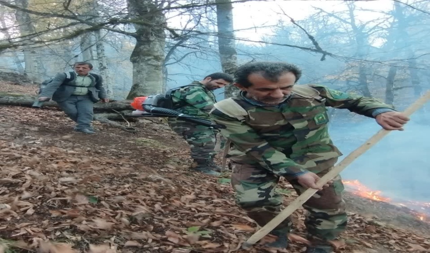 آتش سوزی عرصه های جنگلی نوشهر مهار شد