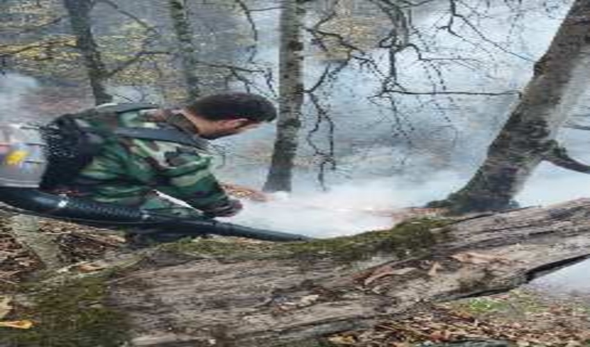 آتش‌سوزی در جنگل‌های غرب مازندران