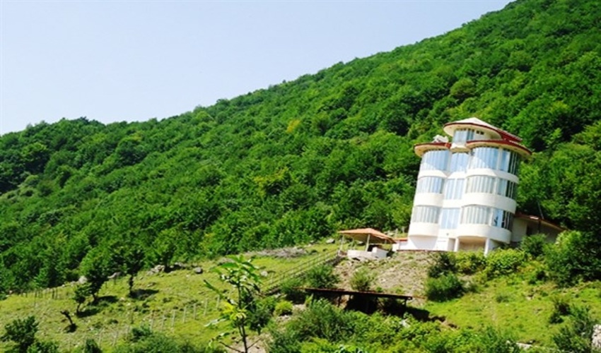 معاون وزیر جهاد کشاورزی خبر داد: