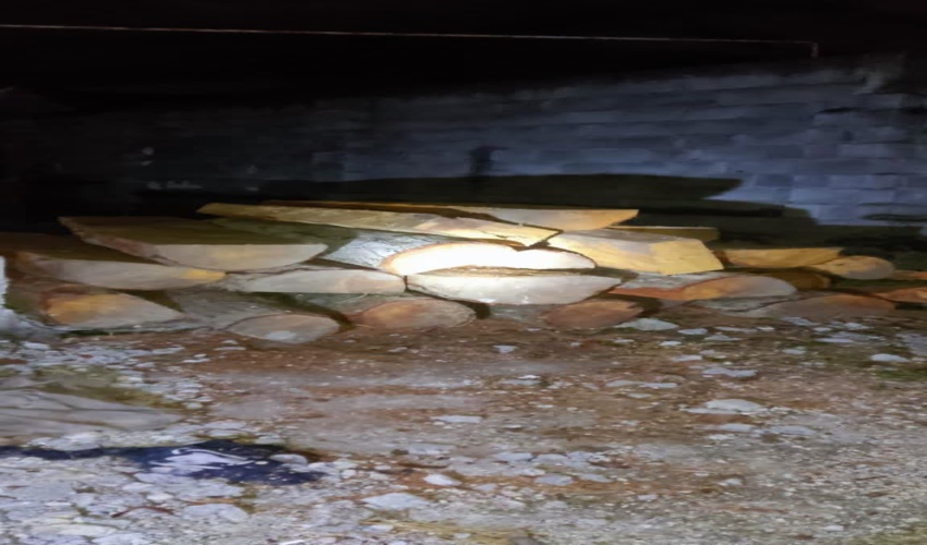 انهدام باند قاچاق چوب آلات جنگلی در هردوآبرود عباس آباد