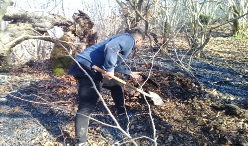 مهار آتش سوزی در جنگل های کلاردشت/خسارت سطحی به سه هزار مترمربع از اراضی جنگلی