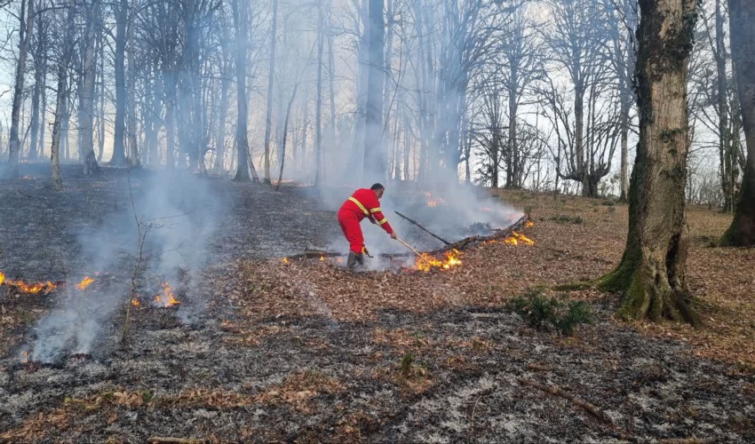 وقوع ۲ فقره حریق در جنگل‌های های نوشهر