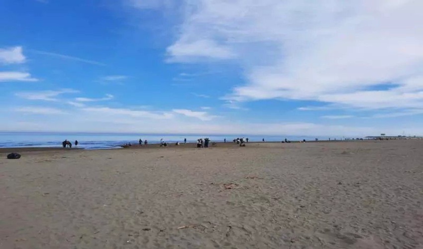 پسروی آب دریا در سواحل  غرب مازندران 