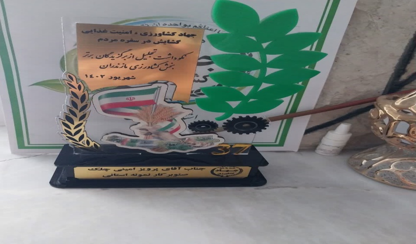 دریافت تندیس و لوح تقدیر « صنوبر کار نمونه استان مازندران » به اقای پرویز امینی چلک