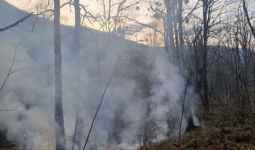 مدیرکل منابع طبیعی مازندران - نوشهر: اطفای حریق جنگل های نمک آبرود ادامه دارد