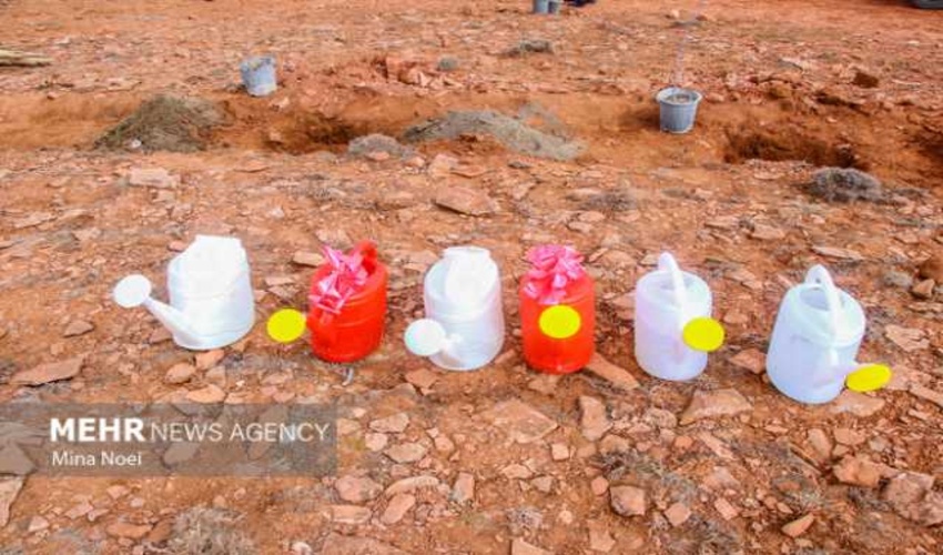 با دستور رییس عدلیه؛ زمین‌های ۱۰ هکتاری جنگل‌های جلگه‌ای نوشهر به حالت سابق برگشت