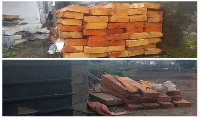 مدیر کل منابع طبیعی و آبخیزداری استان مازندران اعلام کرد