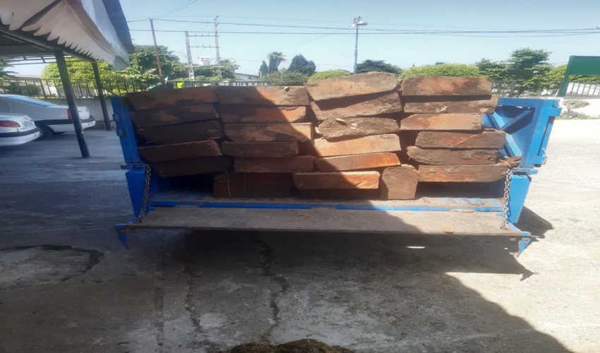 منابع‌طبیعی برخورد قاطع با قاچاقچیان باندی چوب در مازندران را خواستار شد