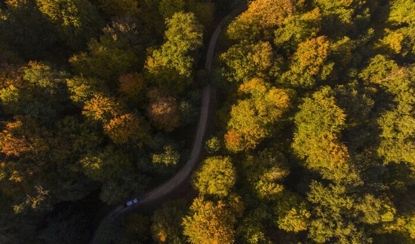 «قلب گردشگری ایران» مقصد سفر استانی دولت مردمی مدیریت پایدار جنگل‌های شمال، مطالبه هیرکانی نشینان از رئیس جمهور