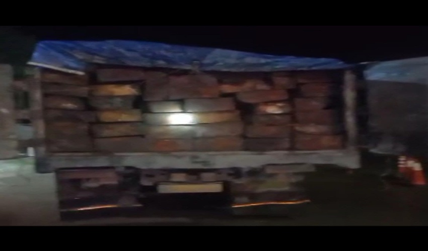 مدیر کل منابع طبیعی و آبخیزداری استان مازندران _نوشهر خبر داد/متلاشی شدن ۳ باند قاچاق چوب در مازندران