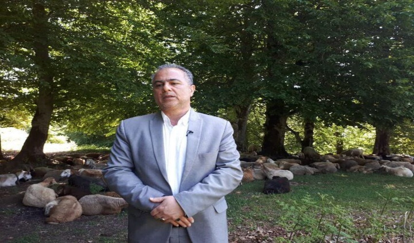 مدیرکل دفتر امور امور مراتع سازمان جنگل ها: ۱.۸ میلیون هکتار از عرصه های مرتعی ممیزی نشدند