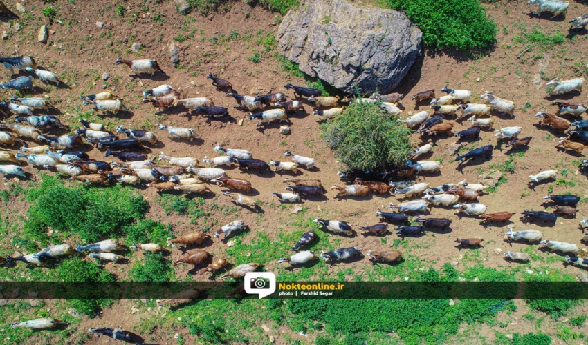 قُرُق شکنی طرحی به سوی جهش تولید با مشارکت مردم 