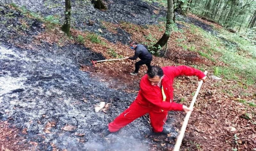 هشدار منابع طبیعی نسبت به احتمال آتش‌سوزی در جنگل‌های مازندران