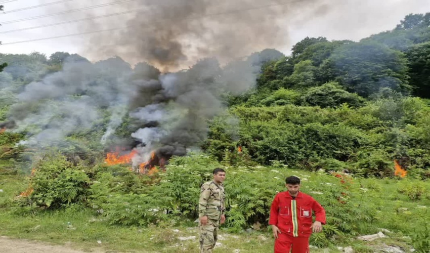 مانور اطفاء حریق منابع طبیعی در شهرستان نوشهر