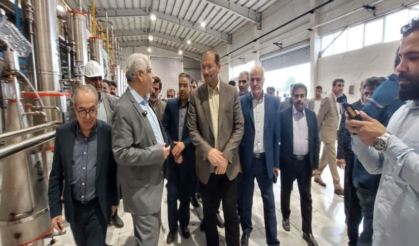       طرح کاشت اکالیپتوس؛ راهکاری موثر برای مقابله با ریزگردها