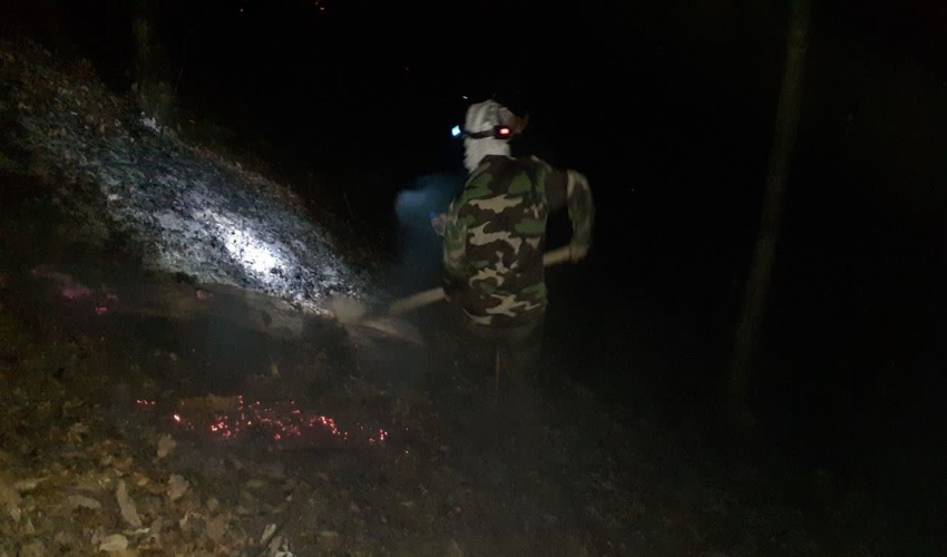 آتش جنگل‌های چالوس مهار شد