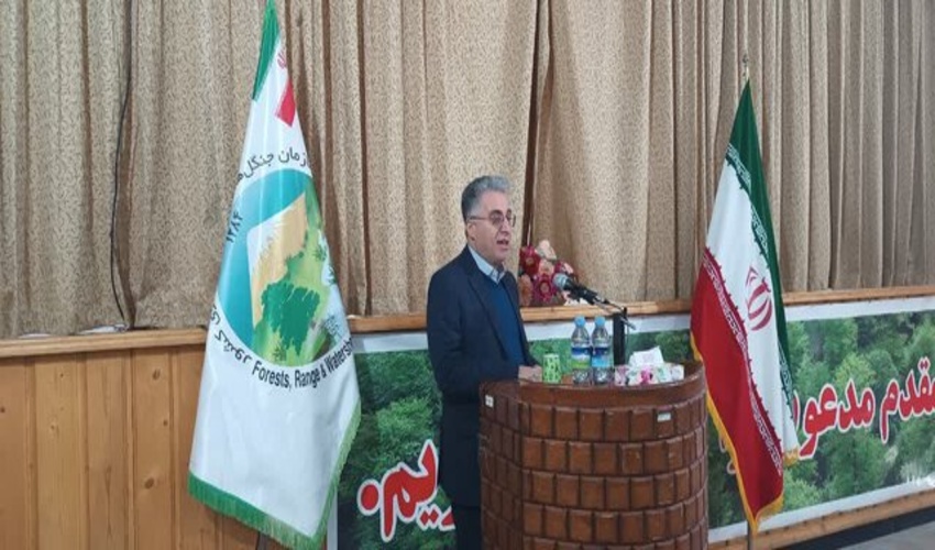 لزوم مدیریت پایدار جنگل‌های هیرکانی