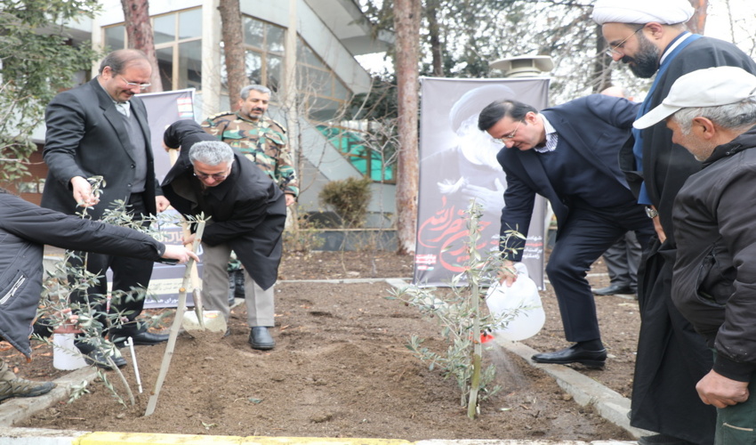 رئیس سازمان منابع طبیعی به یاد شهدای مقاومت درخت کاشت