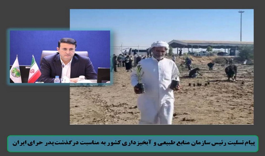 دکتر علی تیموری با ارسال پیامی، ضایعه درگذشت مرحوم درویش شریفی؛ پدر حرای ایران را تسلیت گفت.