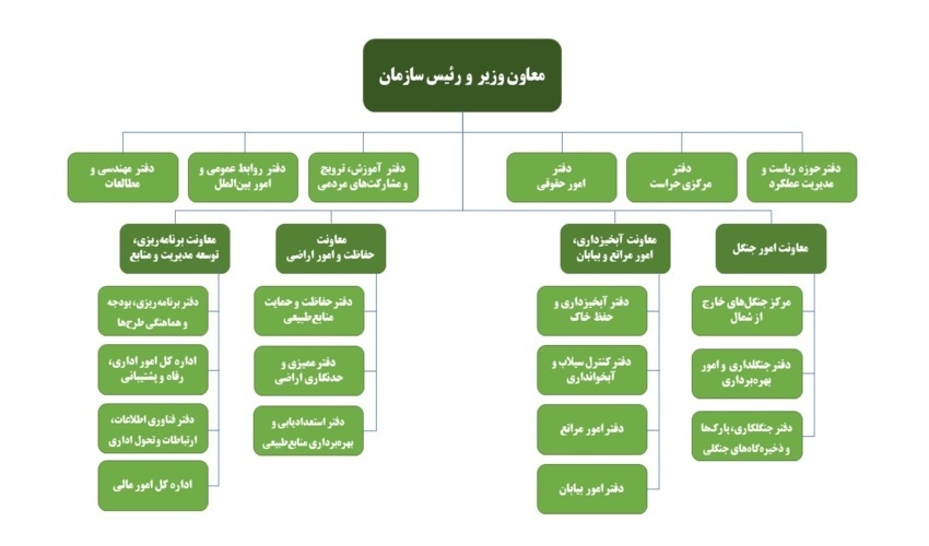 ساختار تشکیلاتی سازمان